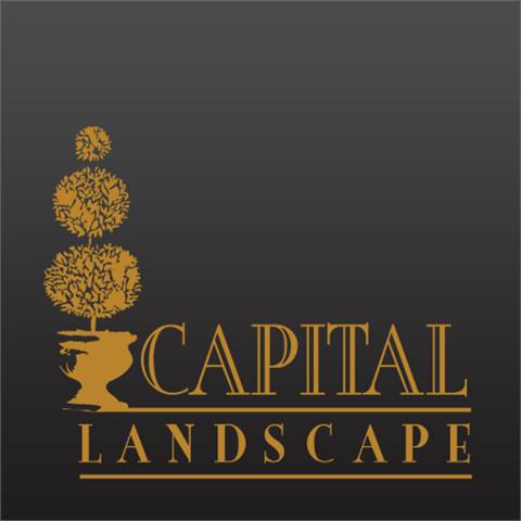 Capital Landscape