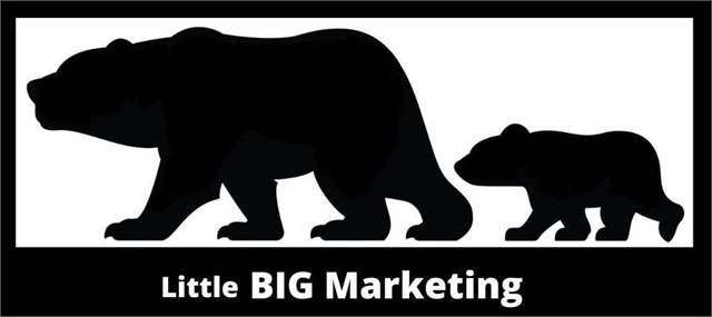 Little Big Marketing San Diego